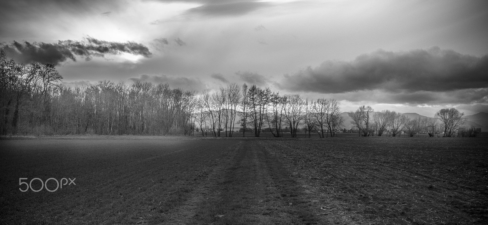 Canon EF-S 24mm F2.8 STM sample photo. Black photography