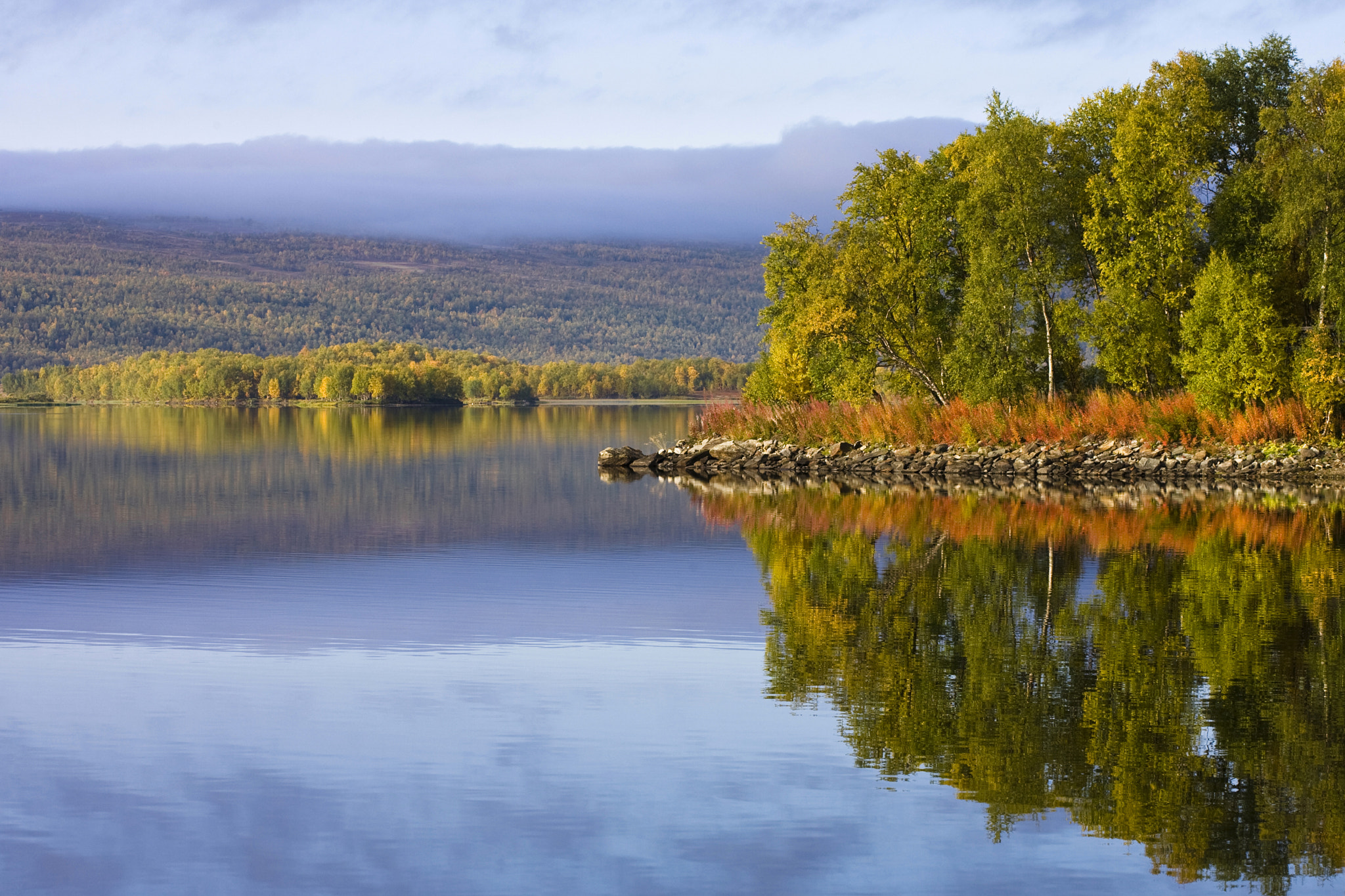 Canon EOS-1D Mark II N sample photo. View from my cottage photography