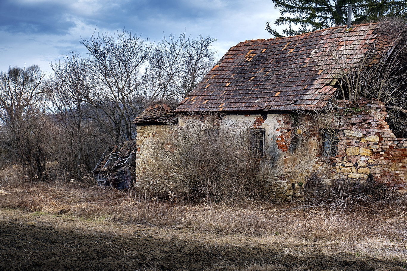 Nikon D5500 sample photo. Sin photography