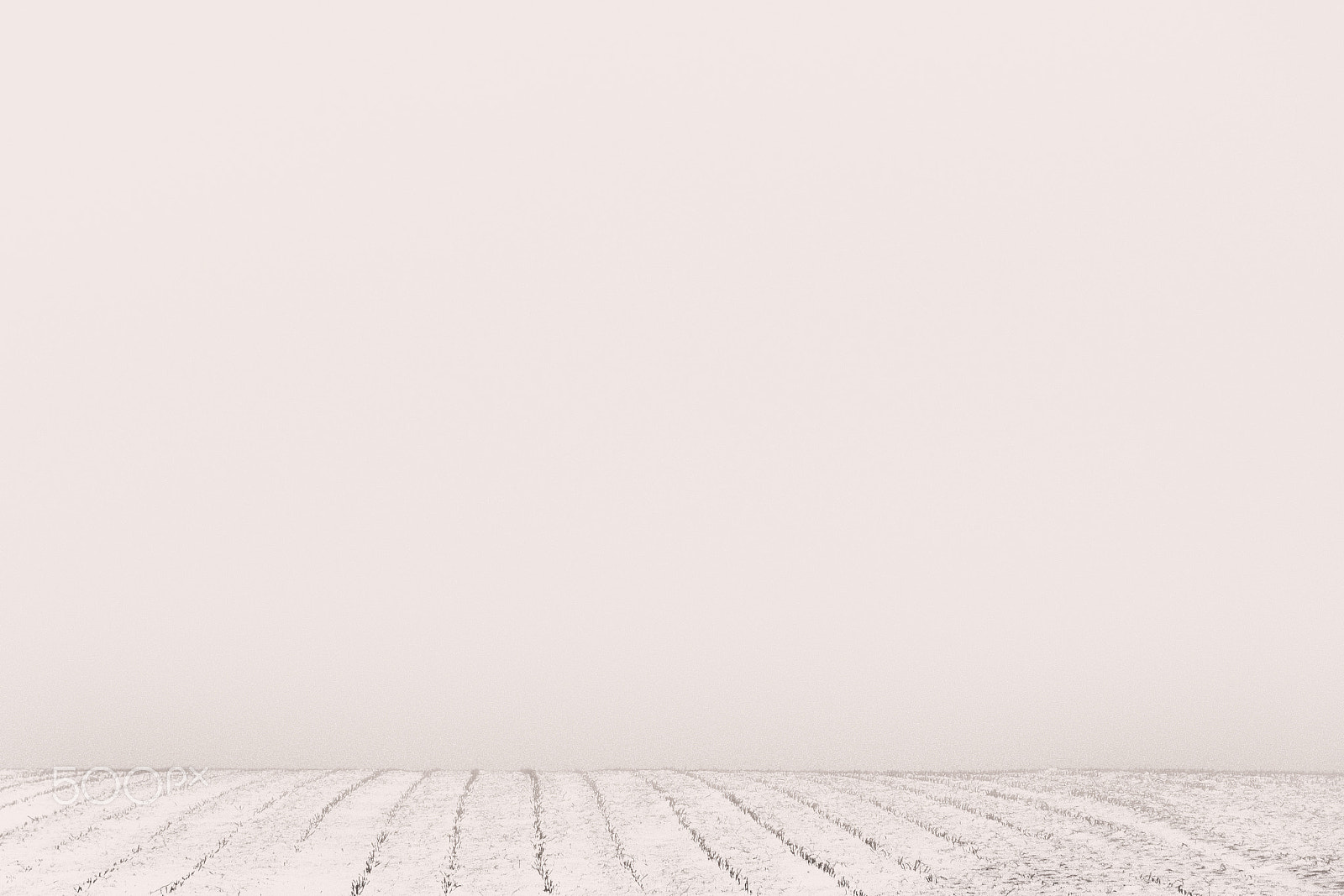 Canon EOS 70D + Canon EF-S 17-85mm F4-5.6 IS USM sample photo. "whiteout" photography