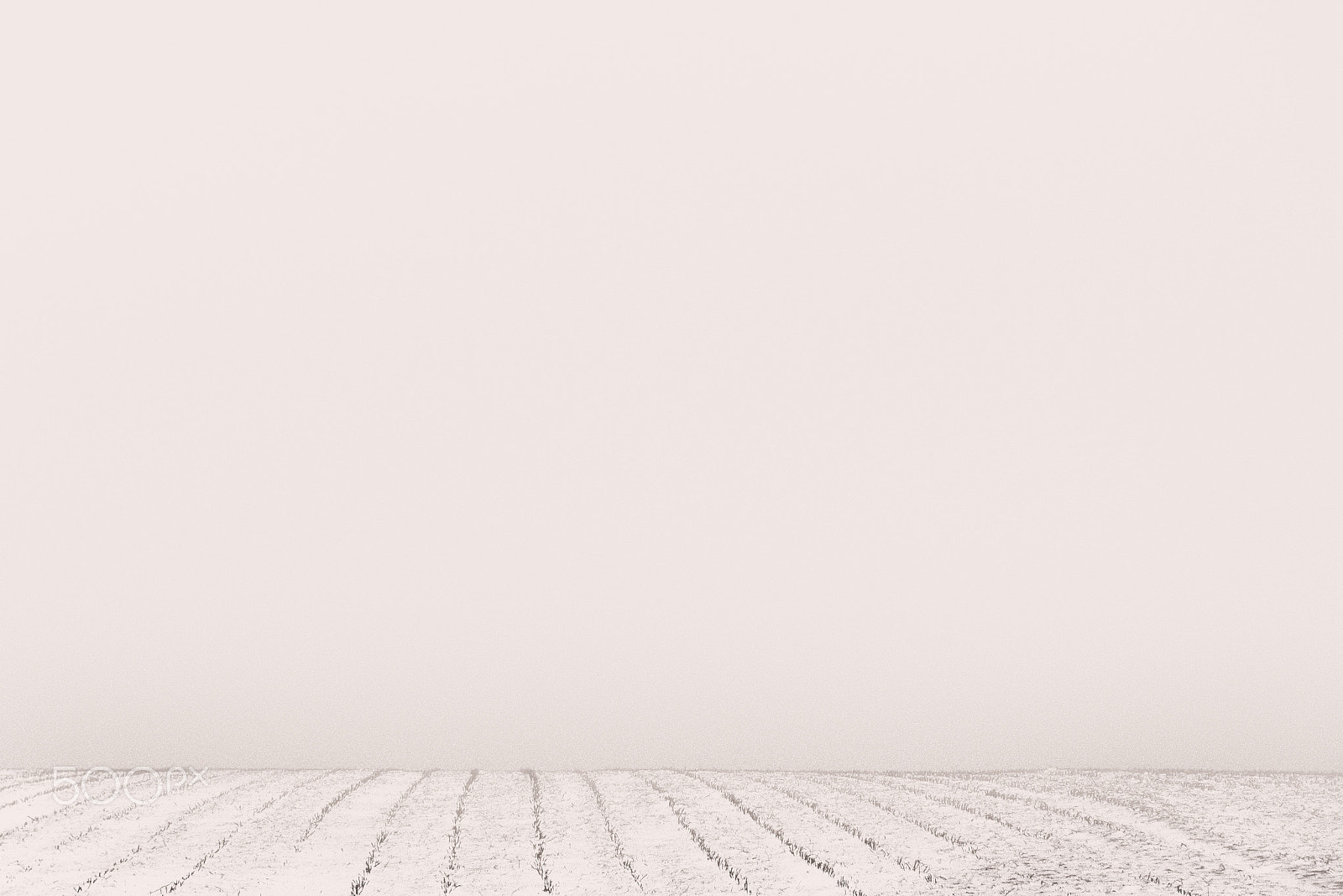 Canon EF-S 17-85mm F4-5.6 IS USM sample photo. "whiteout" photography