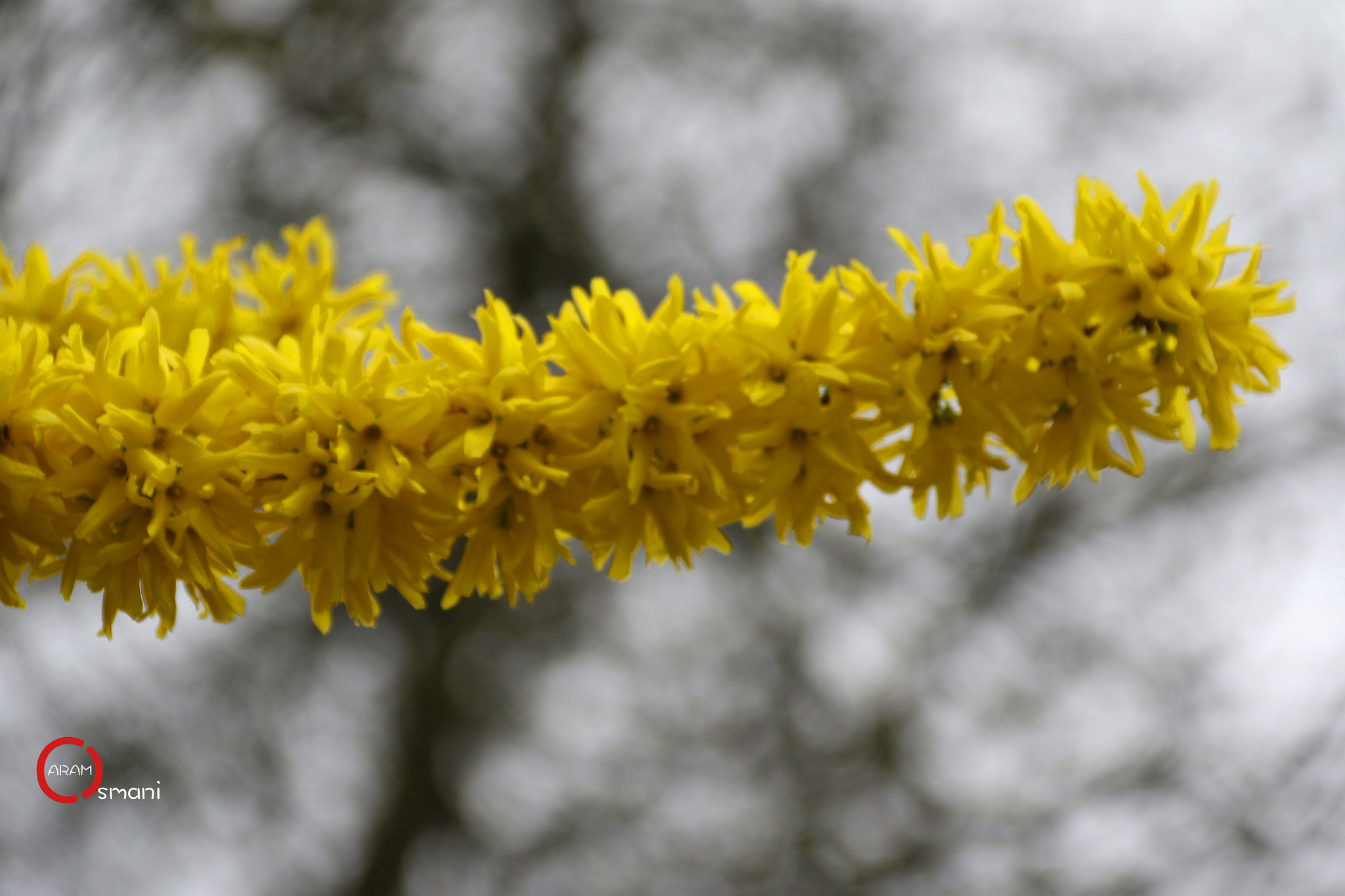 Canon EF-S 18-200mm F3.5-5.6 IS sample photo. Parc montsouris paris photography