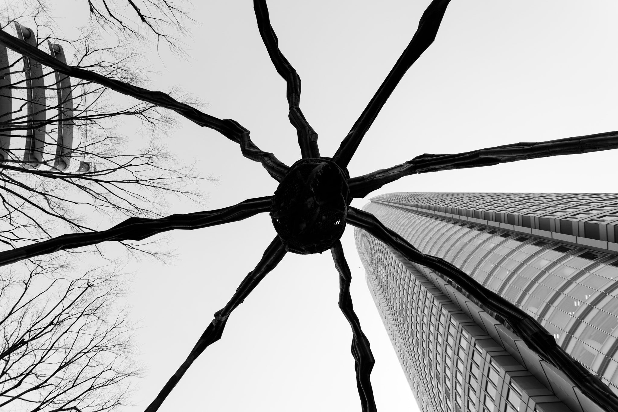 Canon EF 17-40mm F4L USM sample photo. Maman spider - roppongi photography