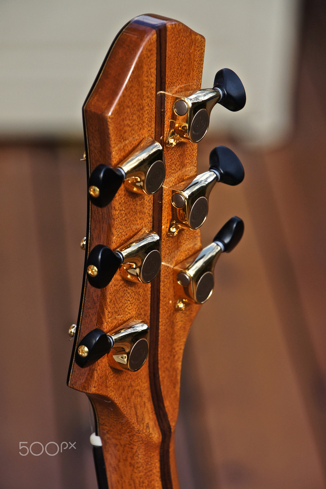 Sony Alpha NEX-5 + Sony E 18-200mm F3.5-6.3 OSS sample photo. Leclair custom acoustic guitar 5-piece neck photography
