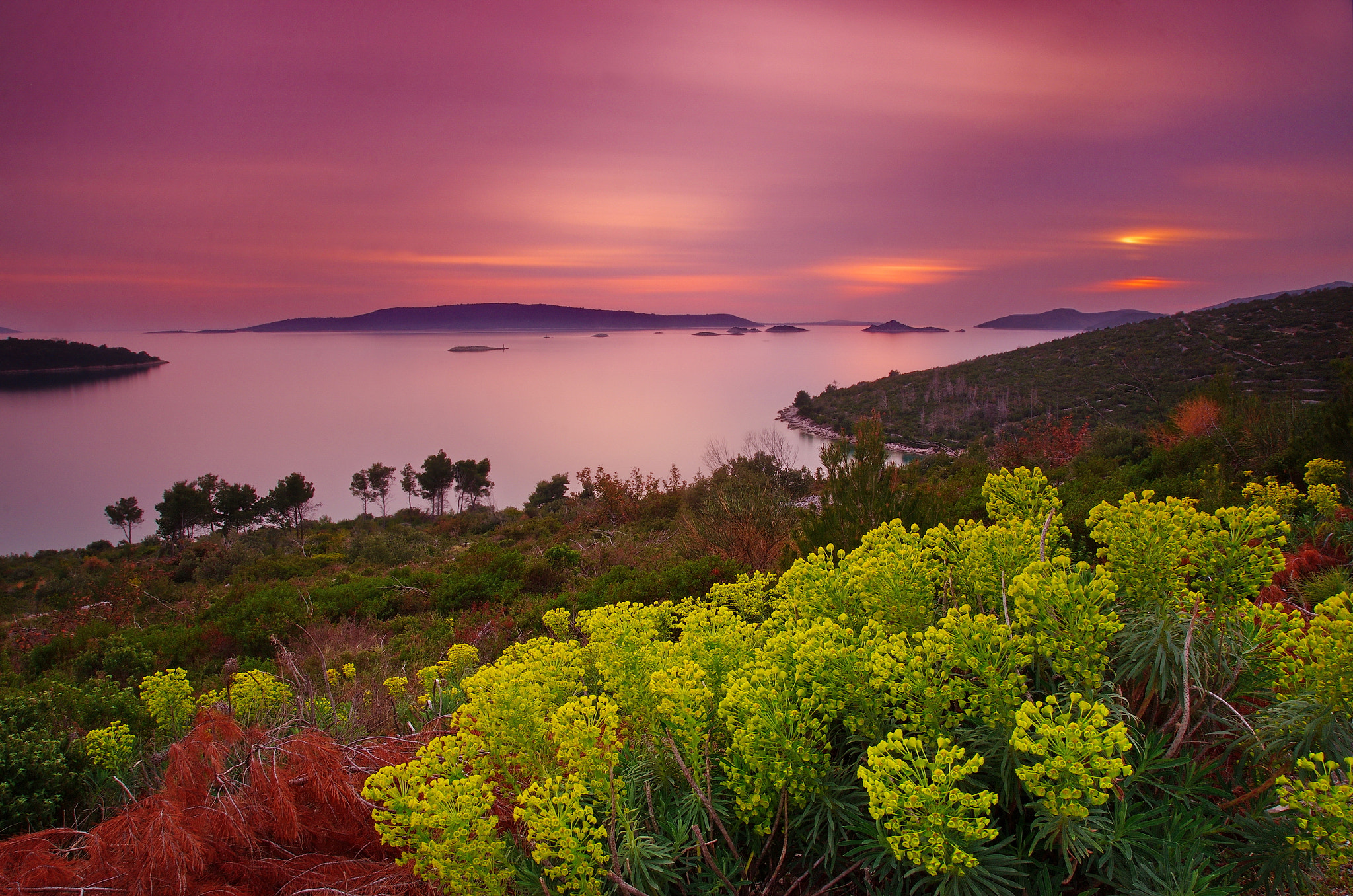 Pentax K-5 IIs sample photo. Evening in dalmatia photography