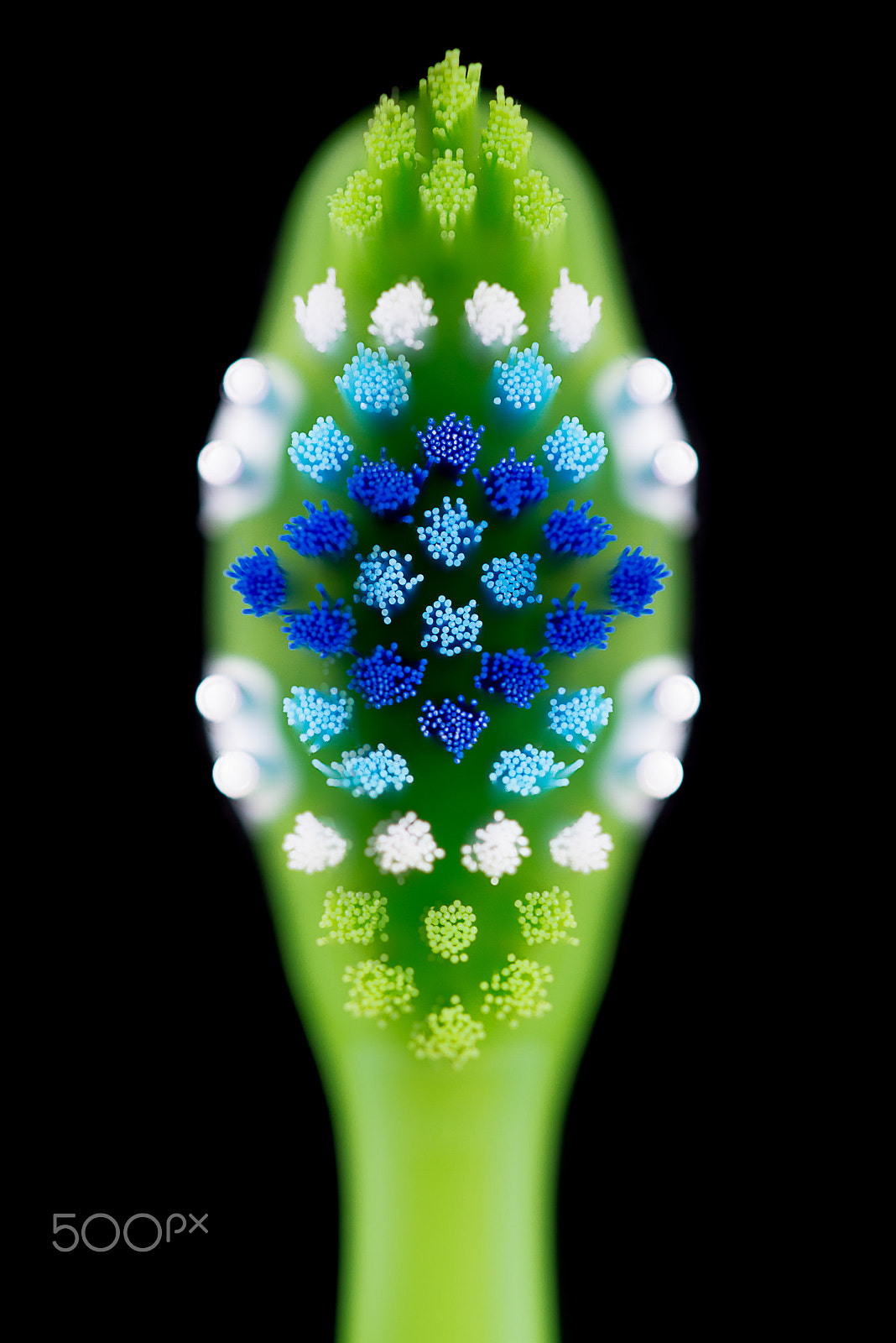 Sigma 105mm F2.8 EX DG OS HSM sample photo. ...setole photography