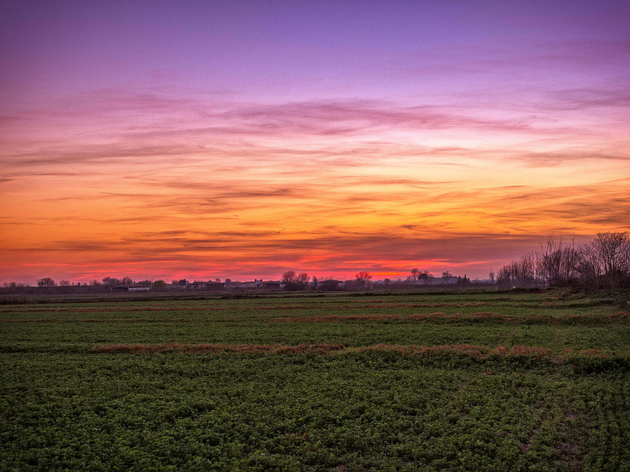 Olympus OM-D E-M1 Mark II + Olympus M.Zuiko Digital ED 12-40mm F2.8 Pro sample photo. Sunset in the countryside photography