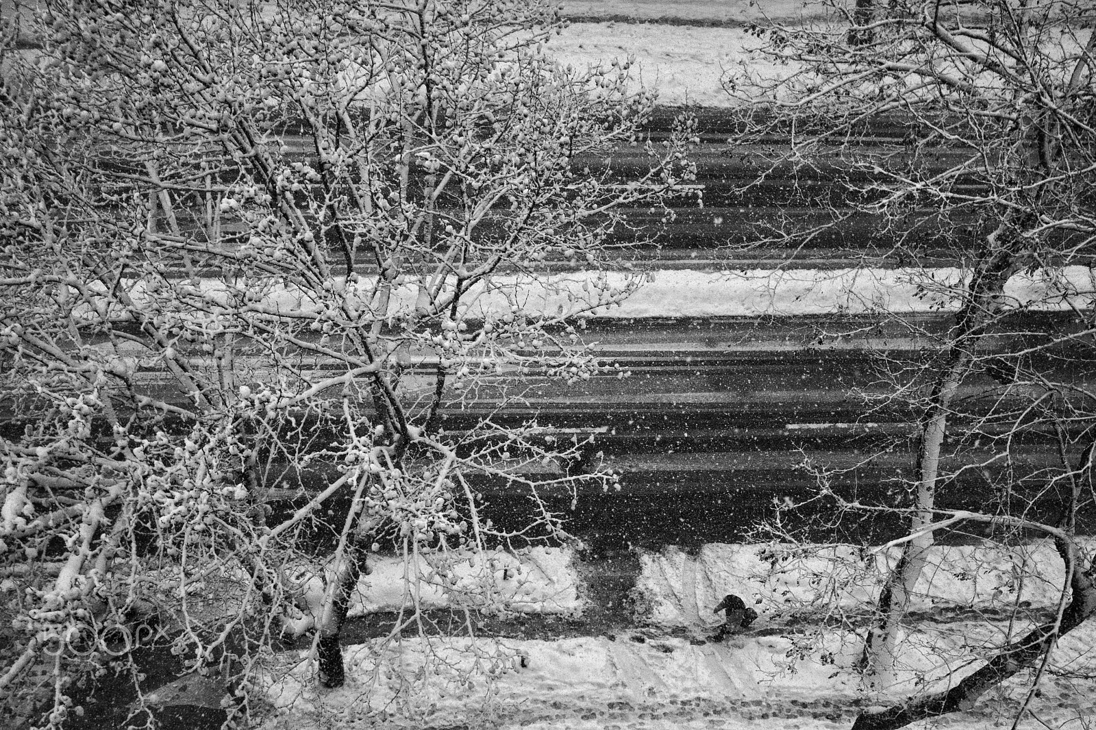 Canon EOS 50D sample photo. Snow photography