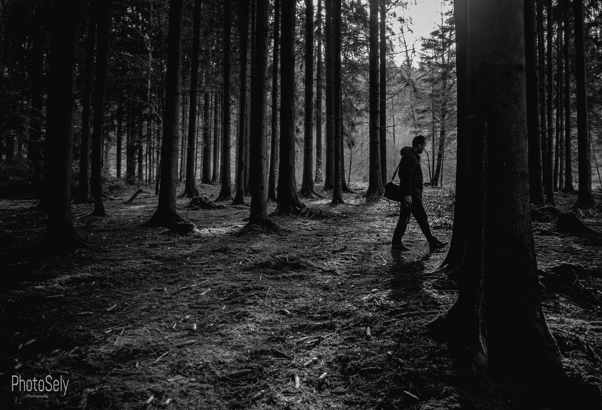Olympus PEN E-PL5 sample photo. Silhouette in the forest photography