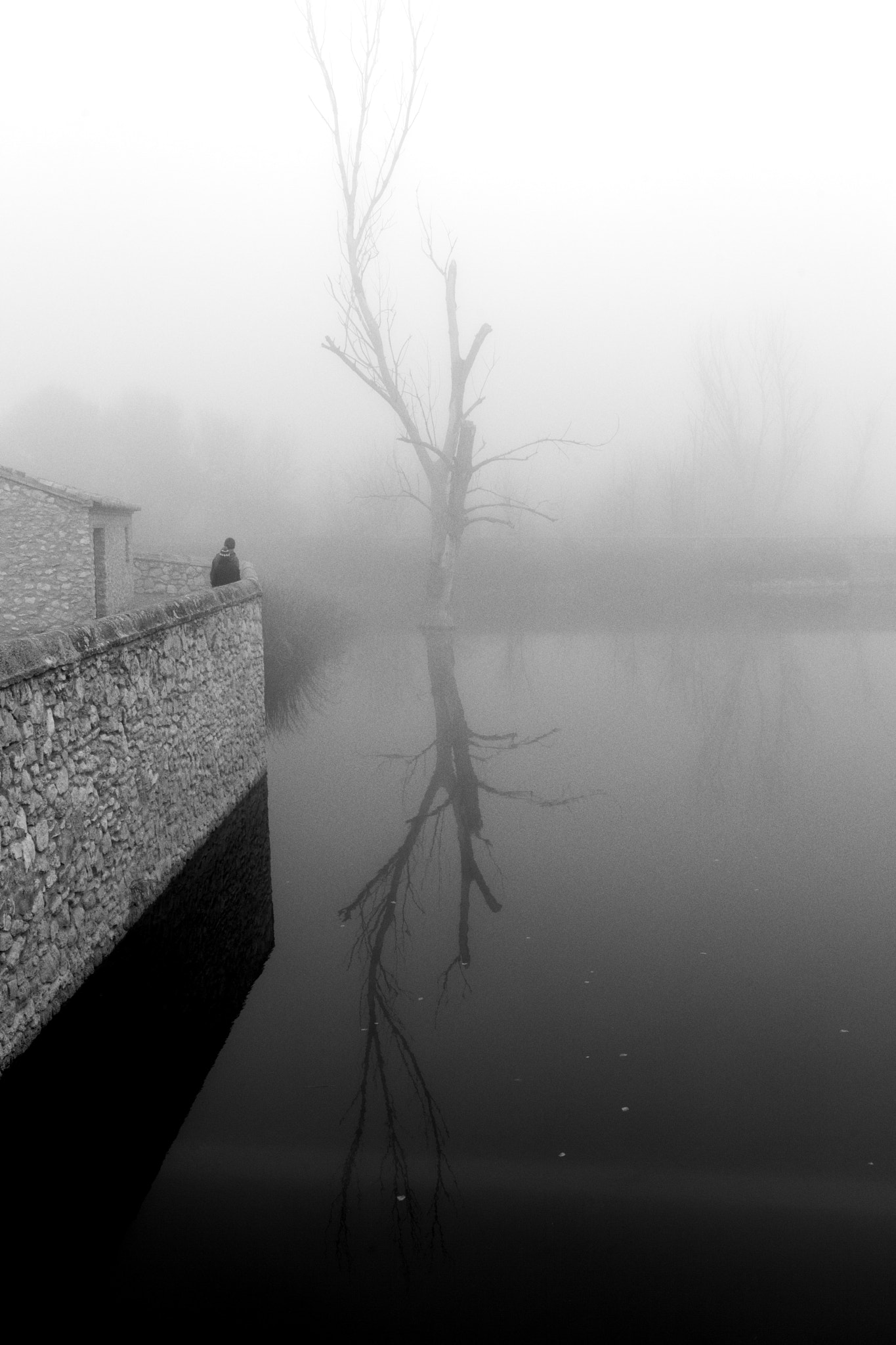 Canon EF 40mm F2.8 STM sample photo. Fog photography