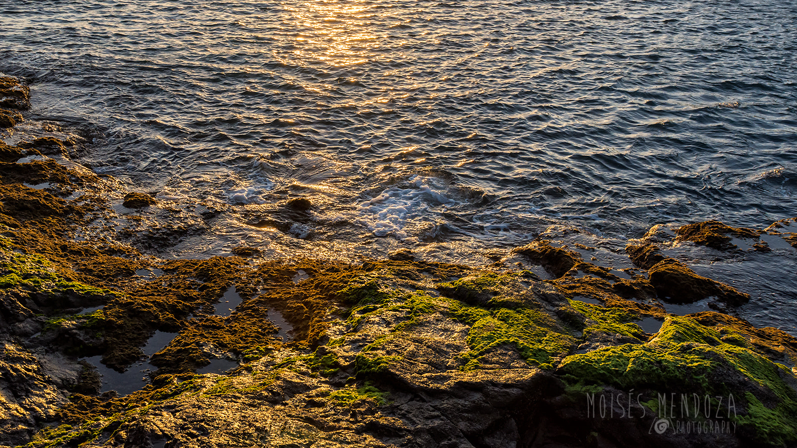Nikon AF-S Nikkor 24-70mm F2.8G ED sample photo. What's is all about photography