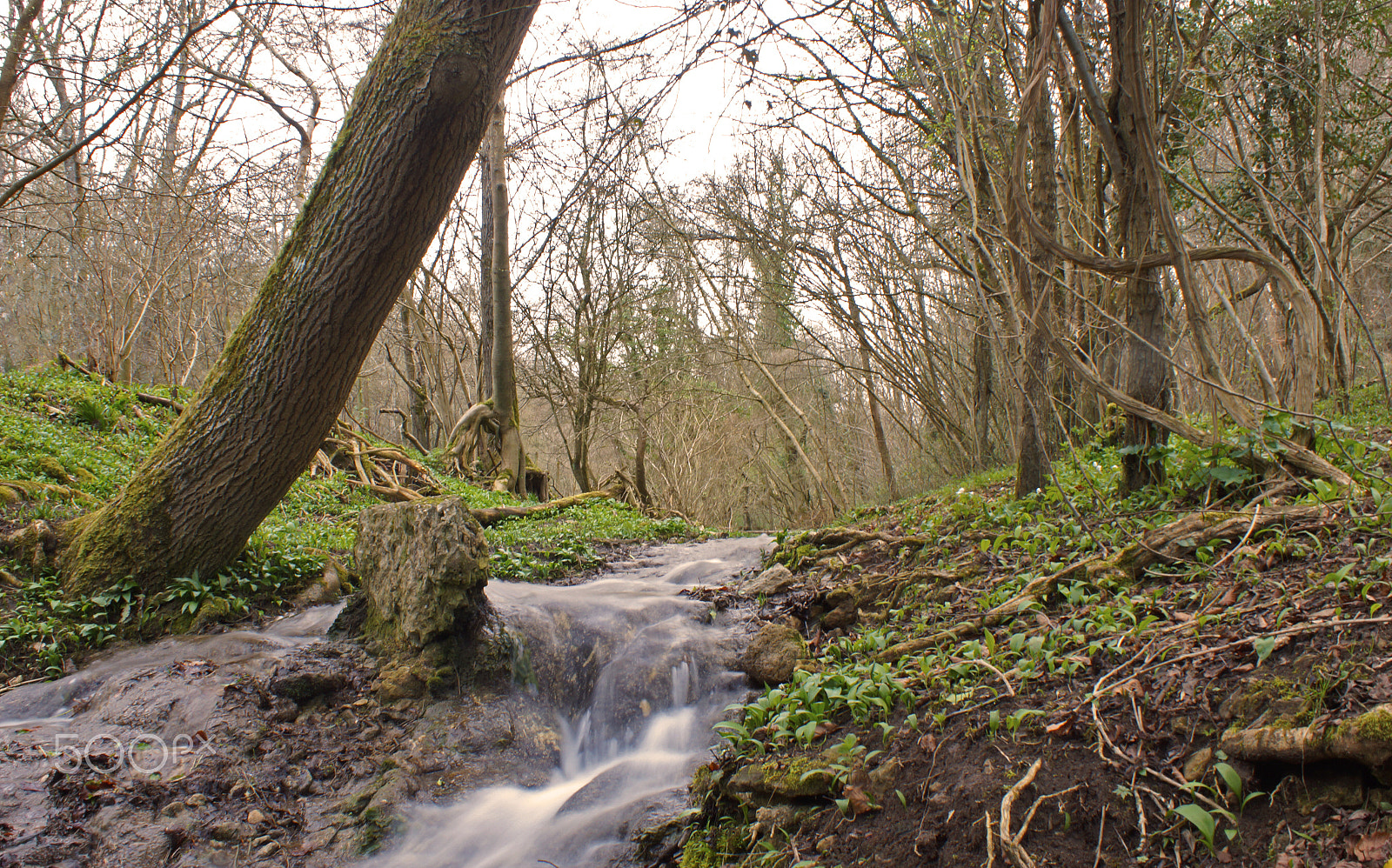 Sony DT 18-70mm F3.5-5.6 sample photo. Strawberry bank falls photography