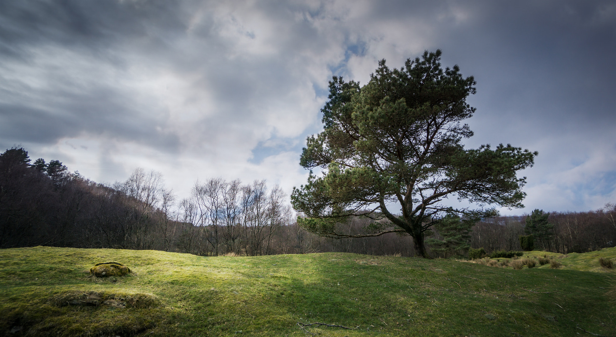 Sony a6000 + Sony E 10-18mm F4 OSS sample photo. Dreamland photography