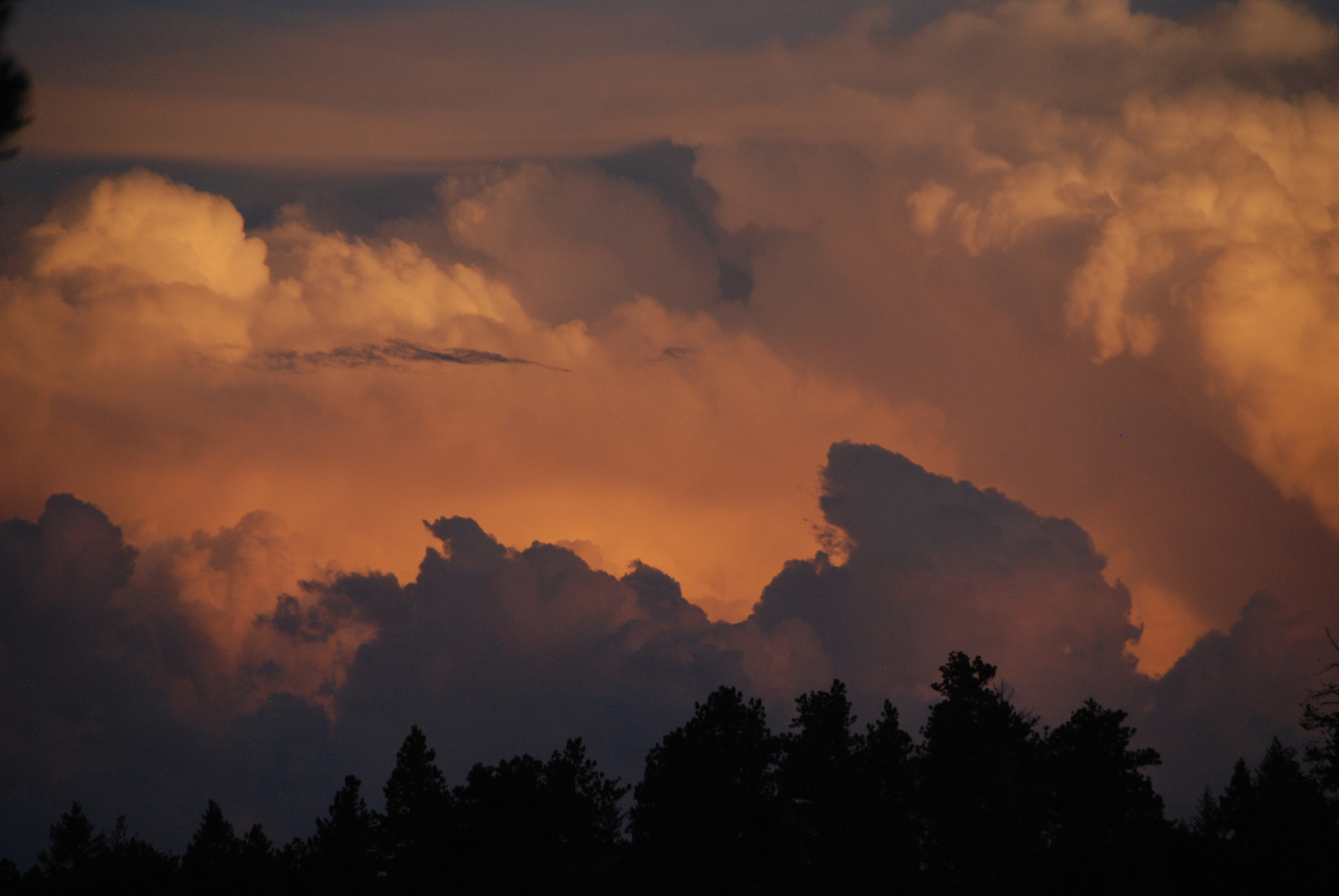 Nikon D80 sample photo. Summer thunderstorm photography