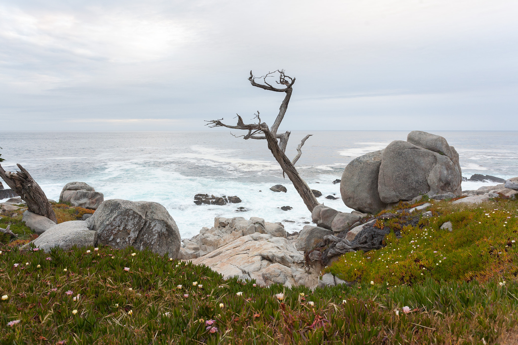 Canon EOS 5D + Canon EF 17-40mm F4L USM sample photo. Big sur photography