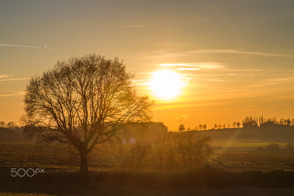 Canon EOS 7D + Sigma 24-70mm F2.8 EX DG Macro sample photo. Countryside goes sleeping photography