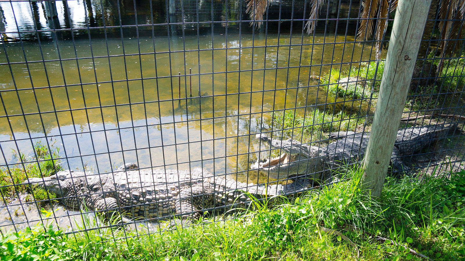 Sony DT 16-105mm F3.5-5.6 sample photo. Dsc photography