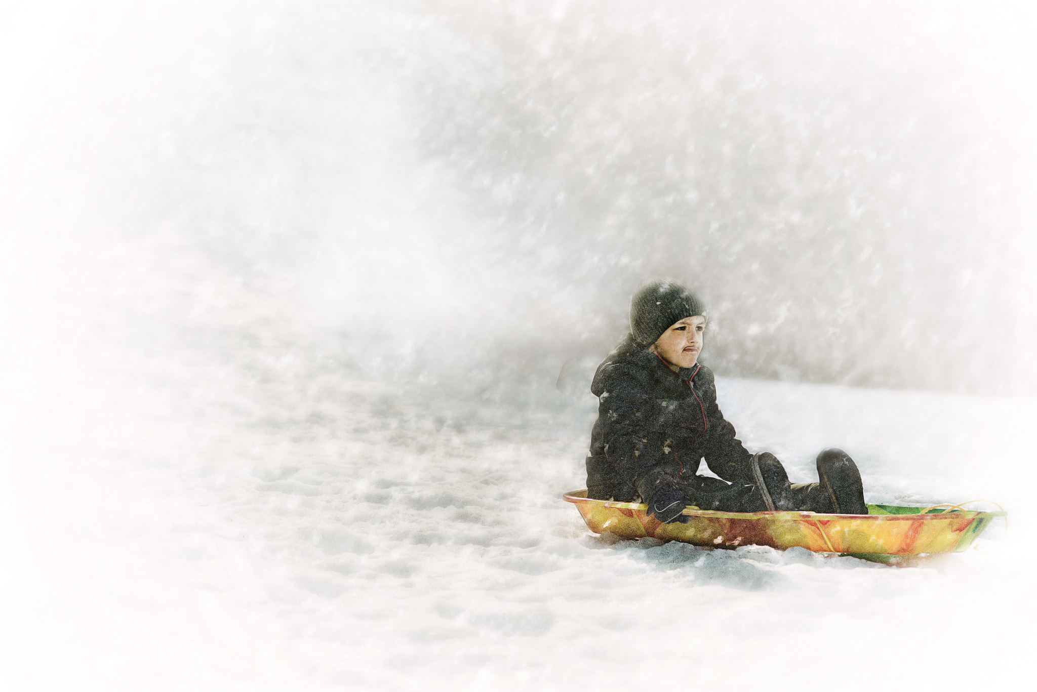 Nikon AF-S Micro-Nikkor 105mm F2.8G IF-ED VR sample photo. Sled photography