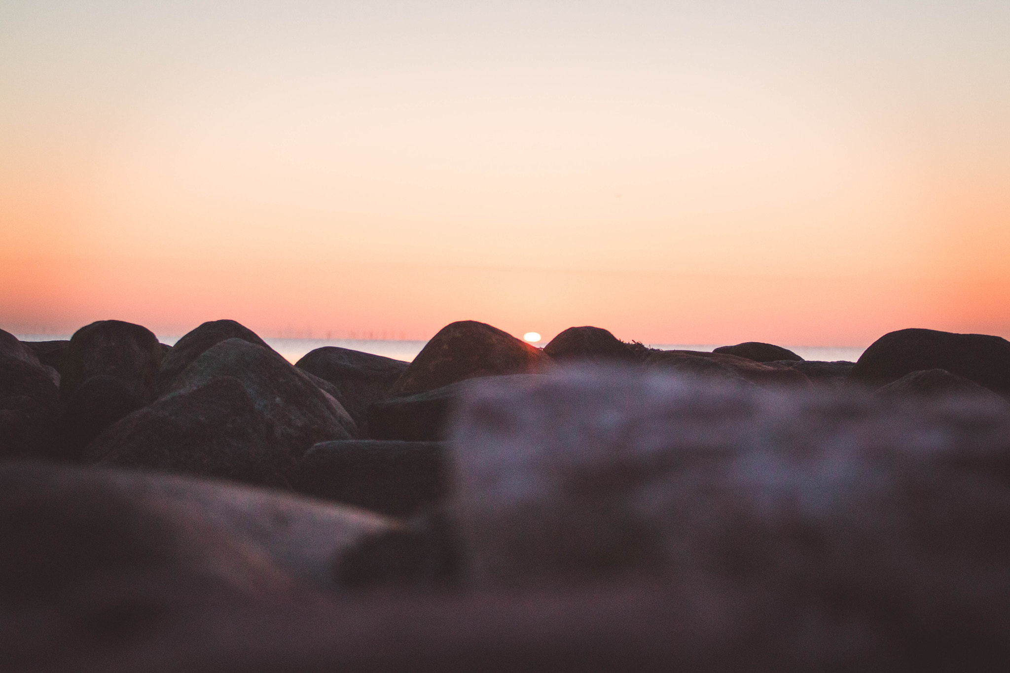 Canon EOS 70D + Canon EF 70-200mm F2.8L USM sample photo. Karlslunde morning walk photography