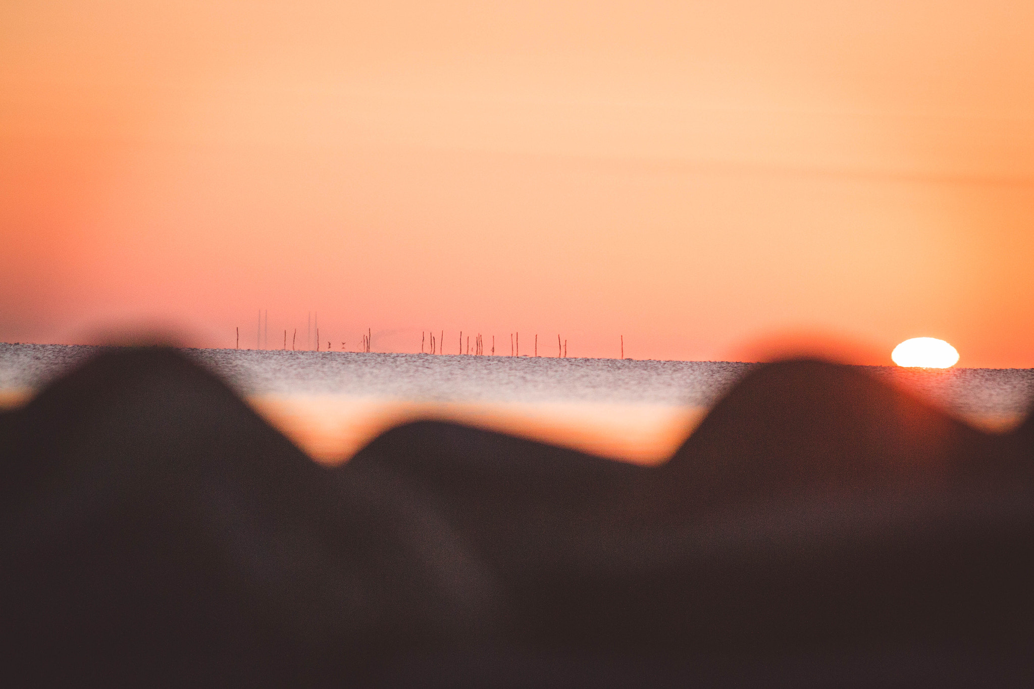Canon EF 70-200mm F2.8L USM sample photo. Karlslunde morning walk photography