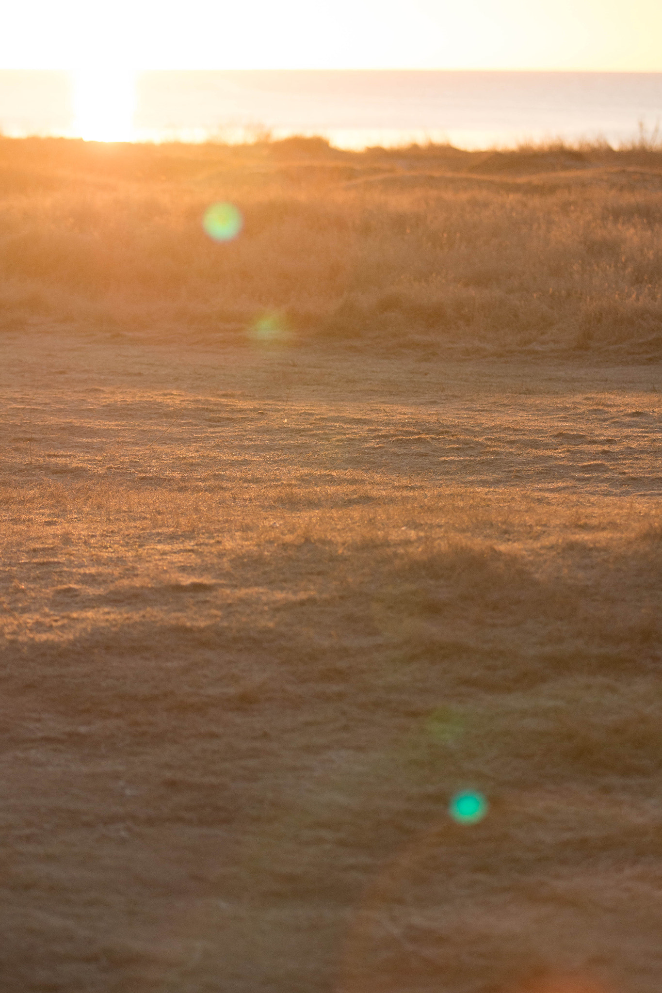 Canon EF 70-200mm F2.8L USM sample photo. Karlslunde morning walk photography