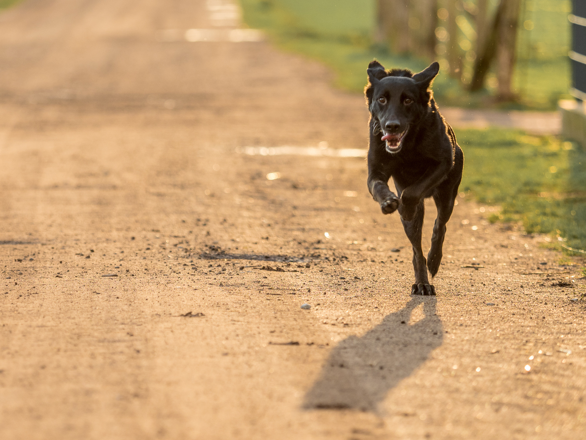 Olympus OM-D E-M1 Mark II + Olympus M.Zuiko Digital ED 40-150mm F2.8 Pro sample photo. Rocco auf zack photography