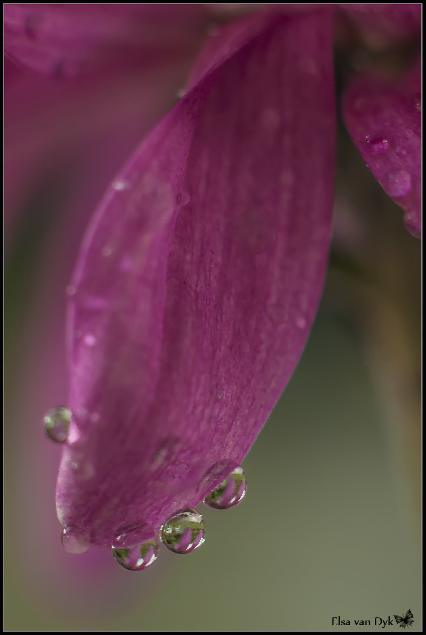 Nikon D300 sample photo. Three droplets photography