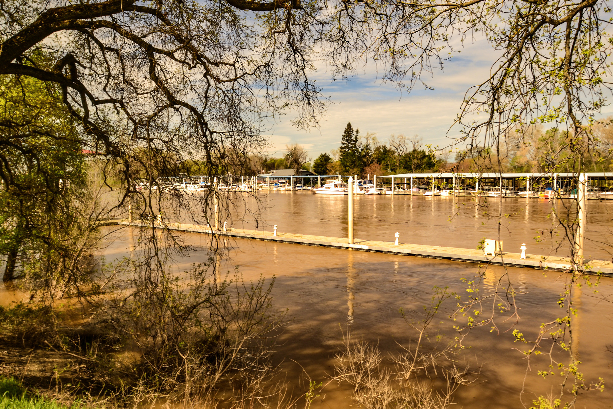 Tamron SP AF 10-24mm F3.5-4.5 Di II LD Aspherical (IF) sample photo. Sacramento river.... boats are ready.... trees are ready to bloom photography