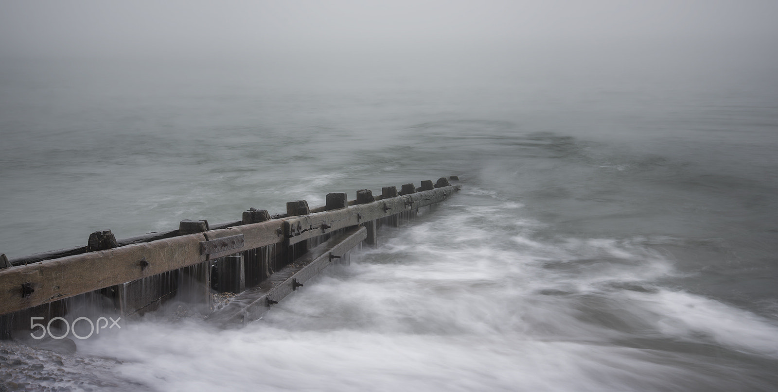Nikon D810 sample photo. Mist and movement photography
