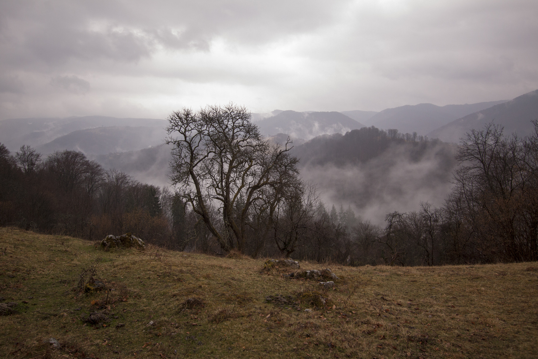 Canon EOS 50D sample photo. Mist in the mountains photography