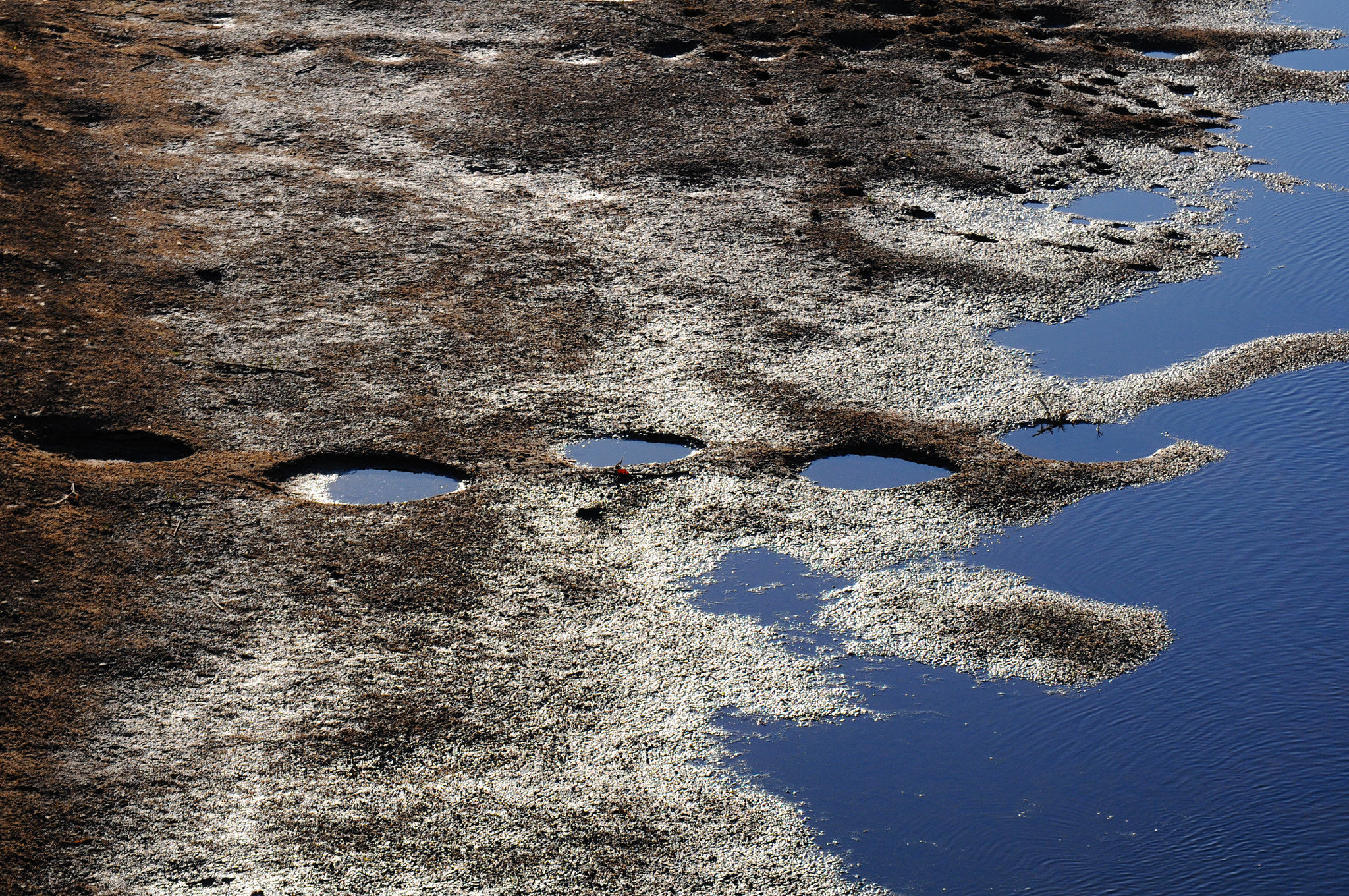 Nikon D300 sample photo. Elephanttracks photography