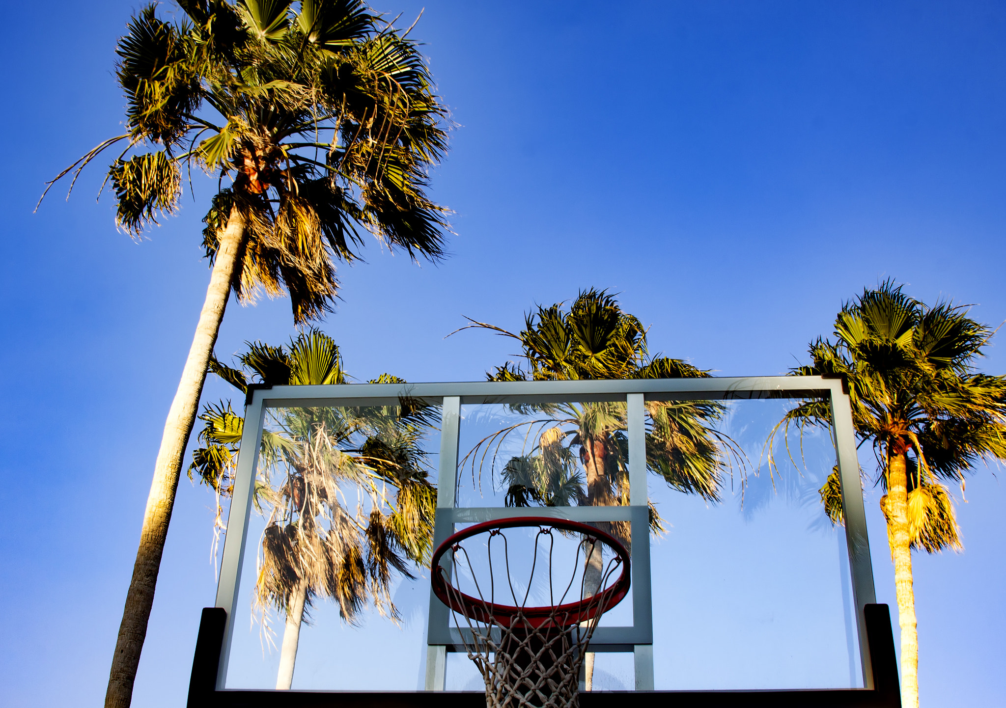 Canon EOS 50D sample photo. Basketball hoop photography