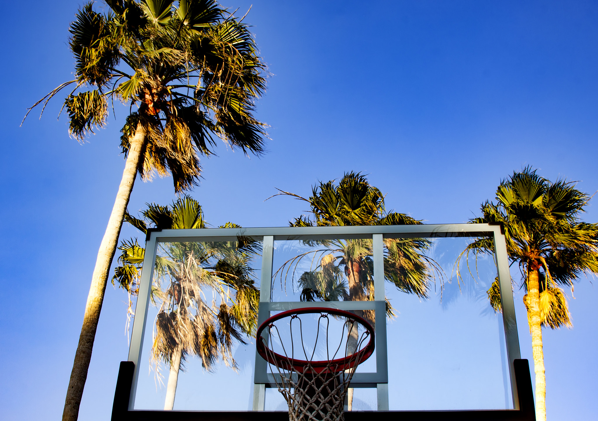 Canon EF 28-135mm F3.5-5.6 IS USM sample photo. Basketball hoop photography