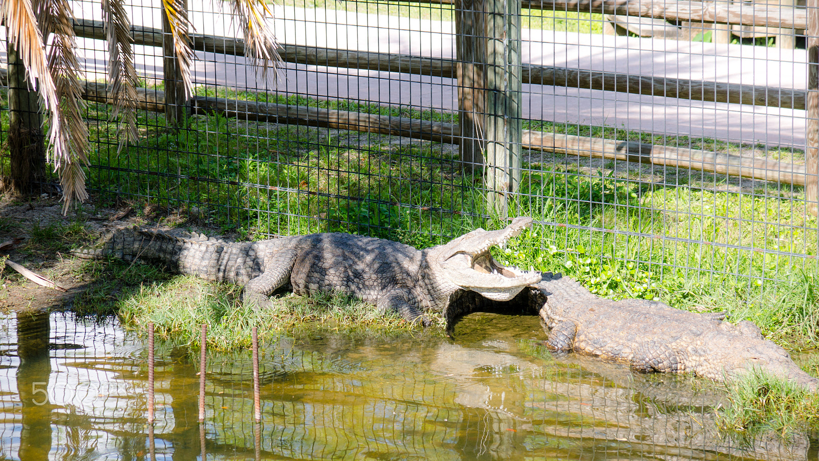 Sony DT 16-105mm F3.5-5.6 sample photo. Dsc photography