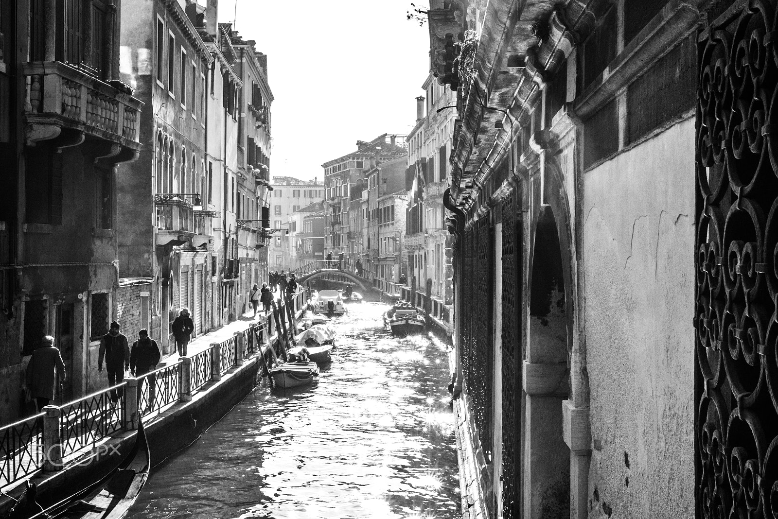 Nikon D800 sample photo. Venezia, venice b/n photography