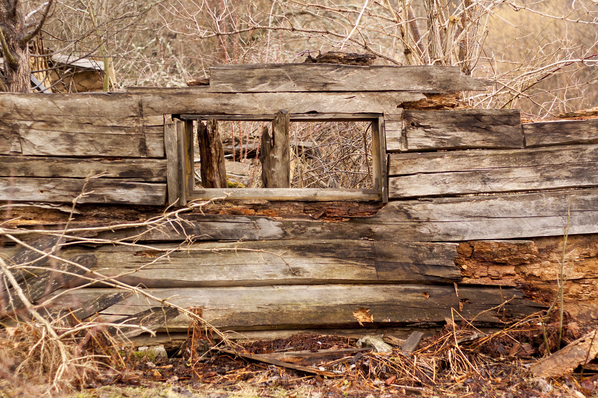 Canon EOS 50D + Canon EF 50mm F1.8 STM sample photo. Remains of the day photography