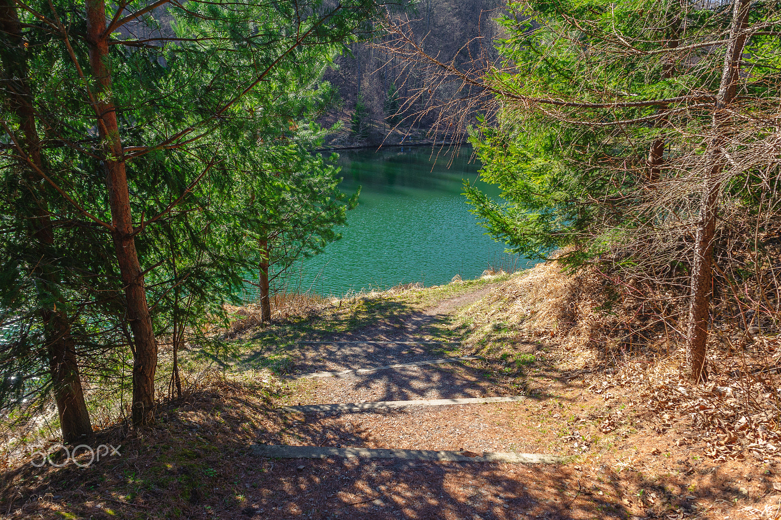 Nikon D700 + Sigma 24mm F1.8 EX DG Aspherical Macro sample photo. Spring time photography