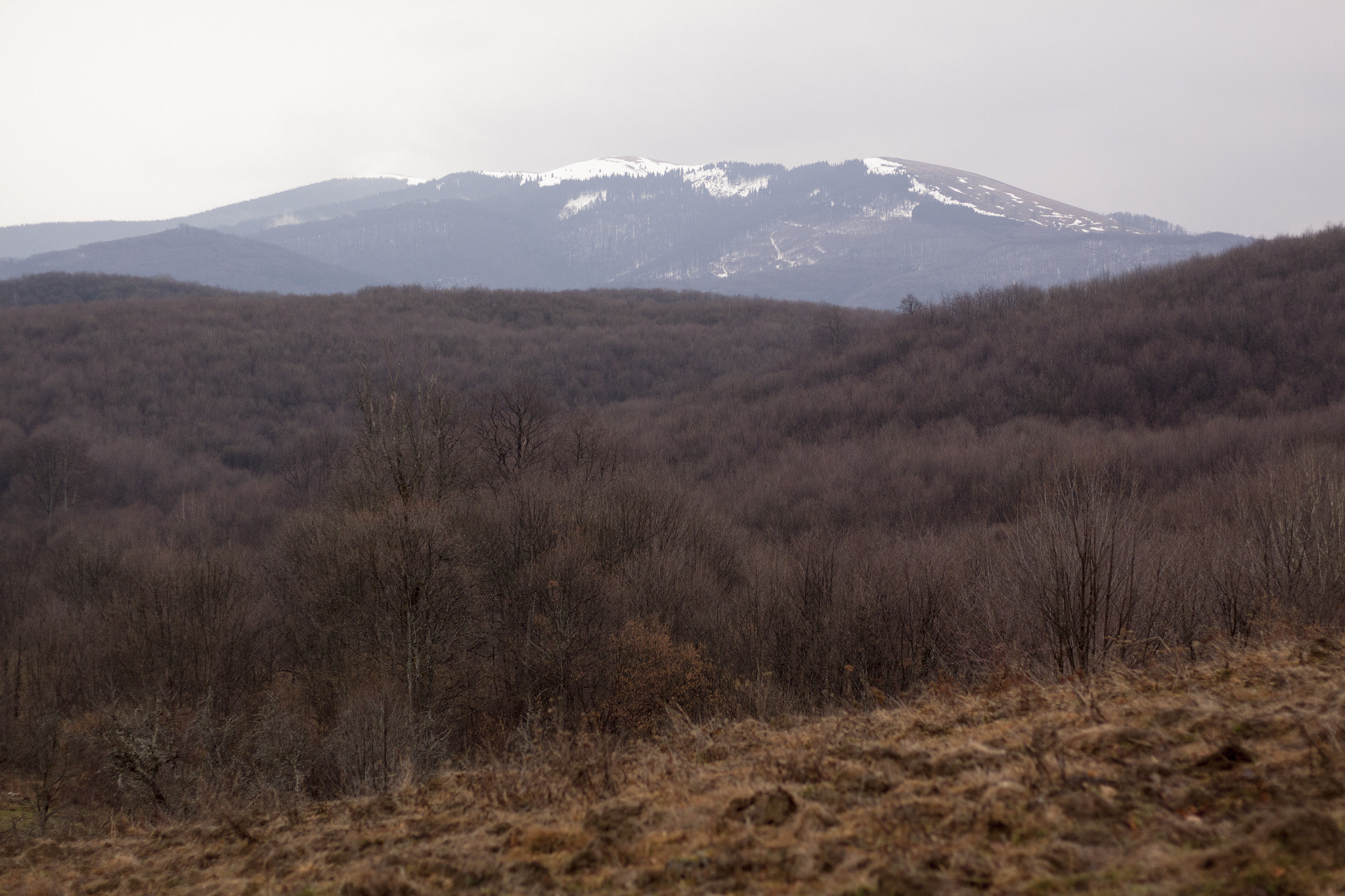 Canon EOS 50D + Canon EF 50mm F1.8 STM sample photo. The one photography