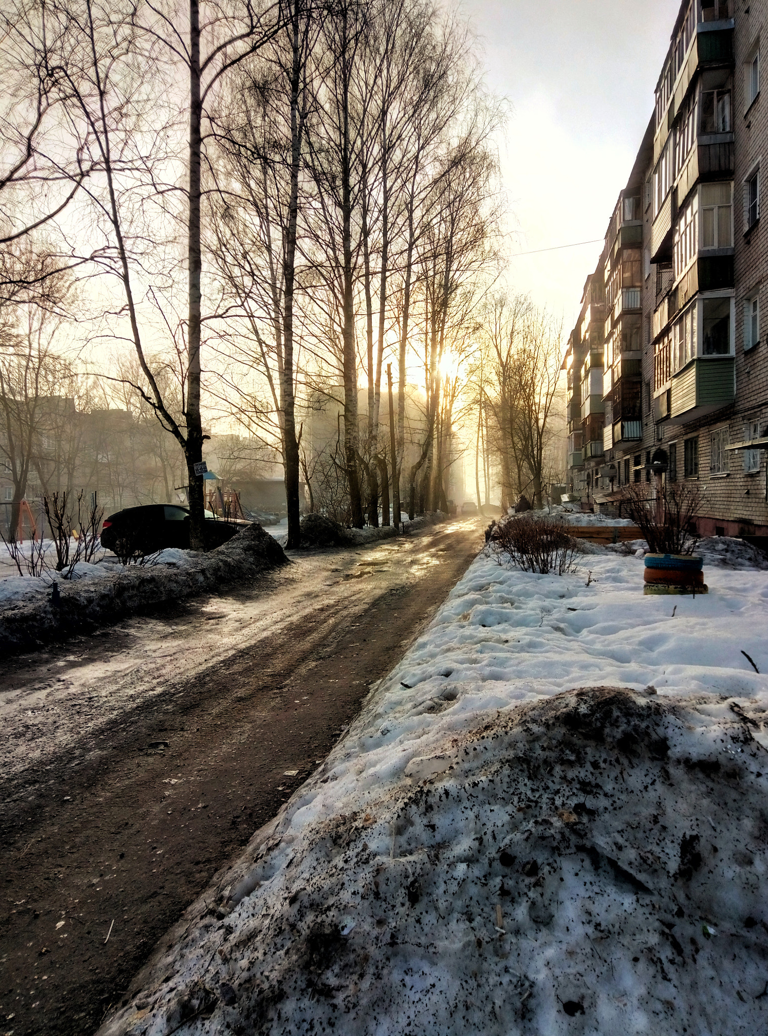 Meizu M3s sample photo. Winter sun photography