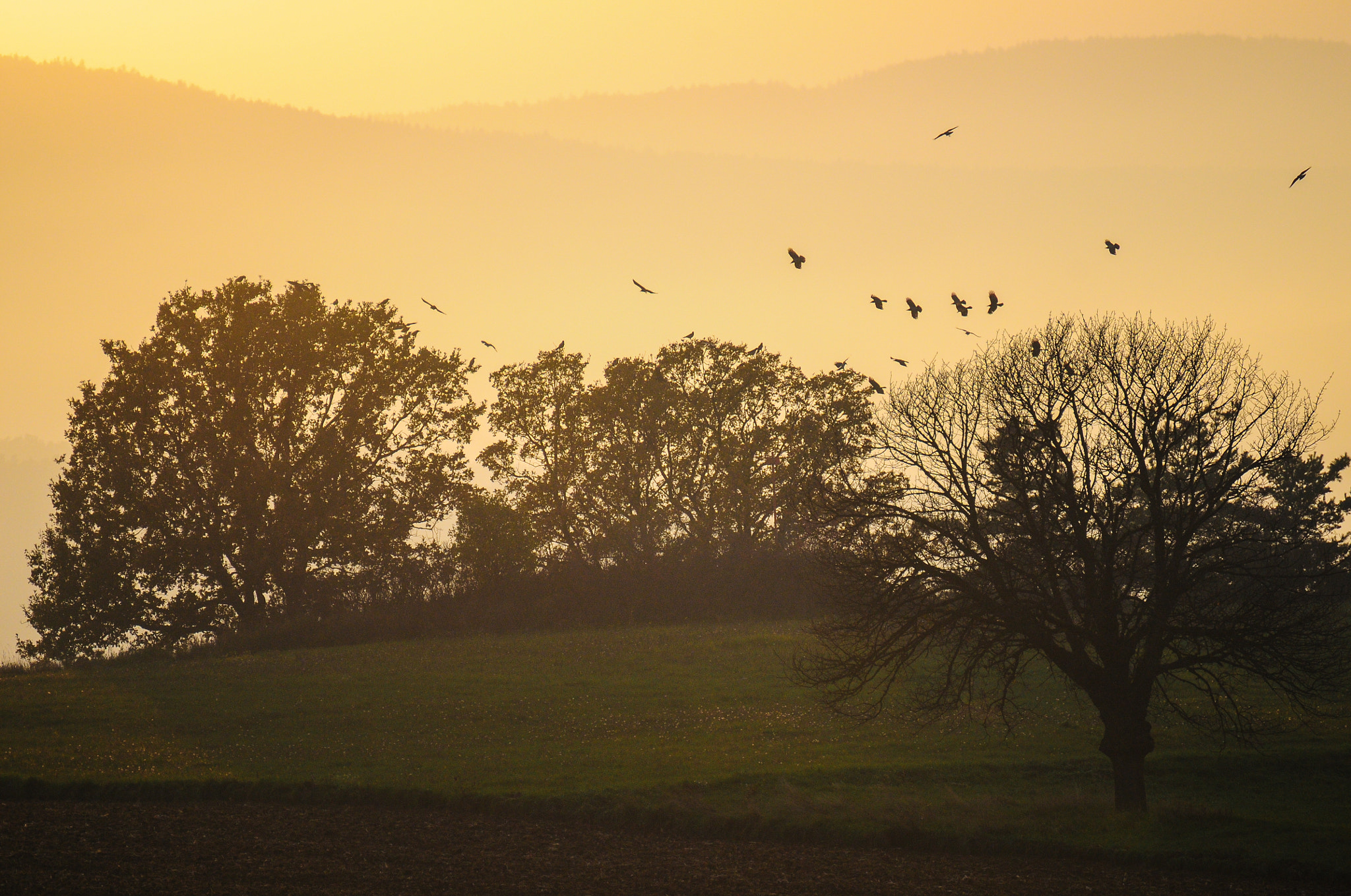 Nikon D300 sample photo. Evening light photography