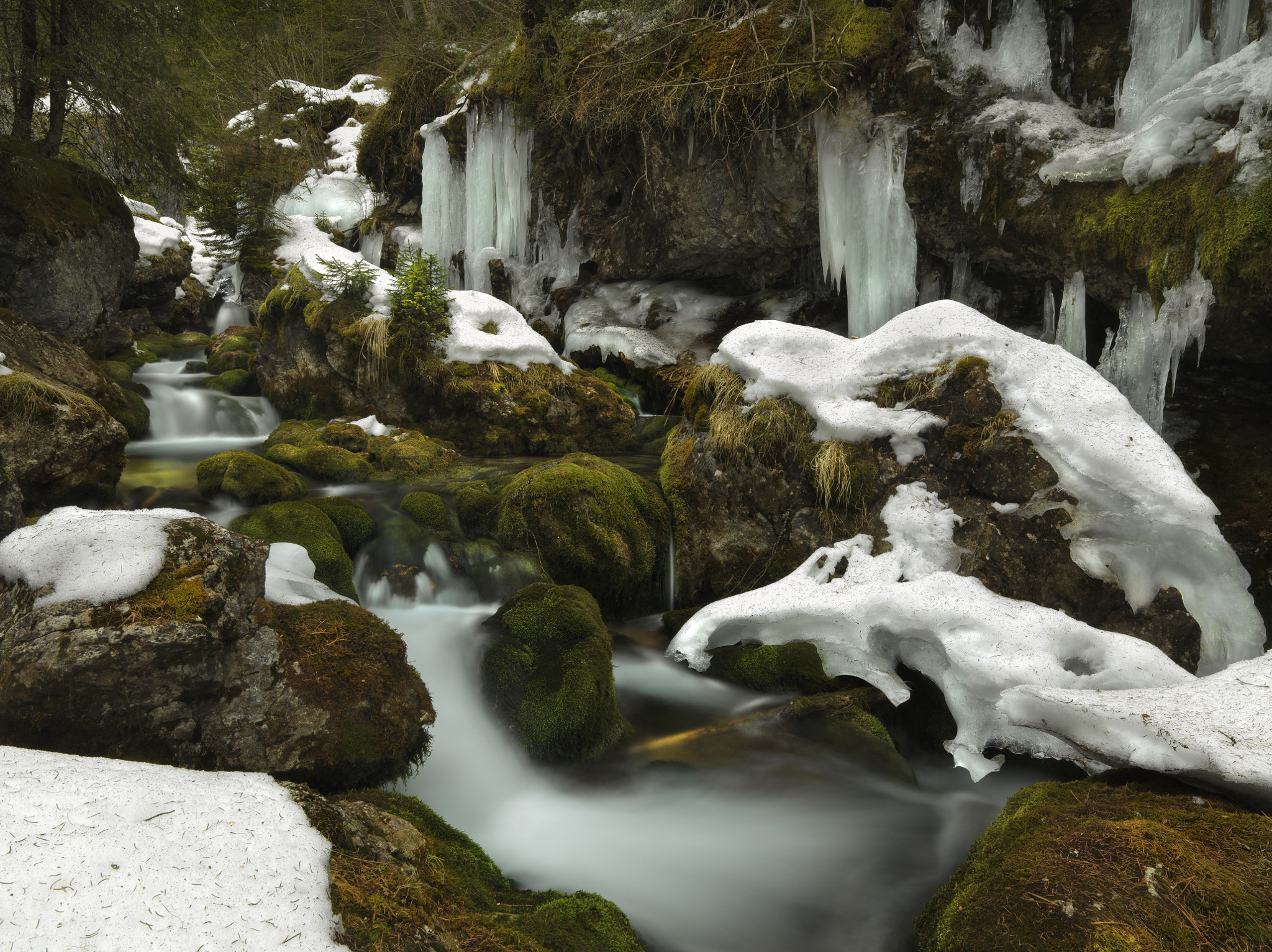 HCD 28 sample photo. Creek. trento alto adige. italy. photography