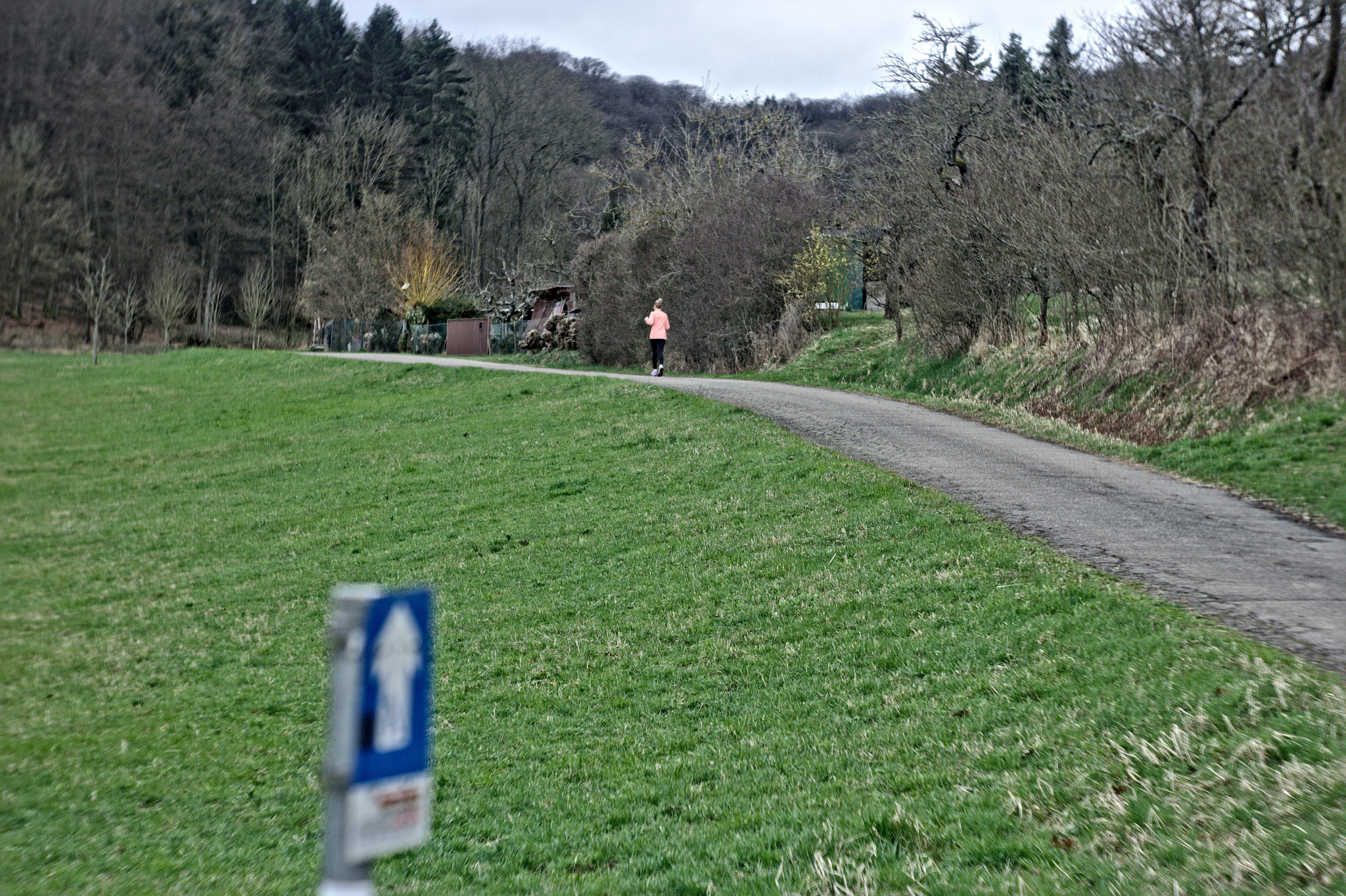Canon EF 35-80mm f/4-5.6 sample photo. Running the wrong way photography