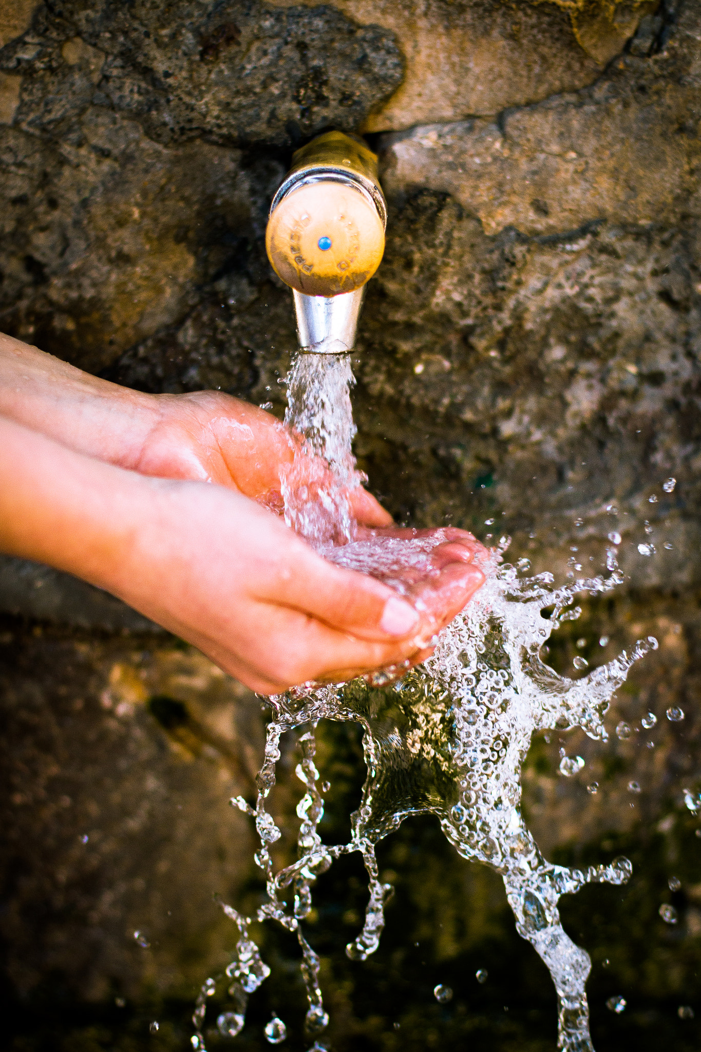 Canon EOS 70D + Canon EF 50mm F1.4 USM sample photo. Fuente photography