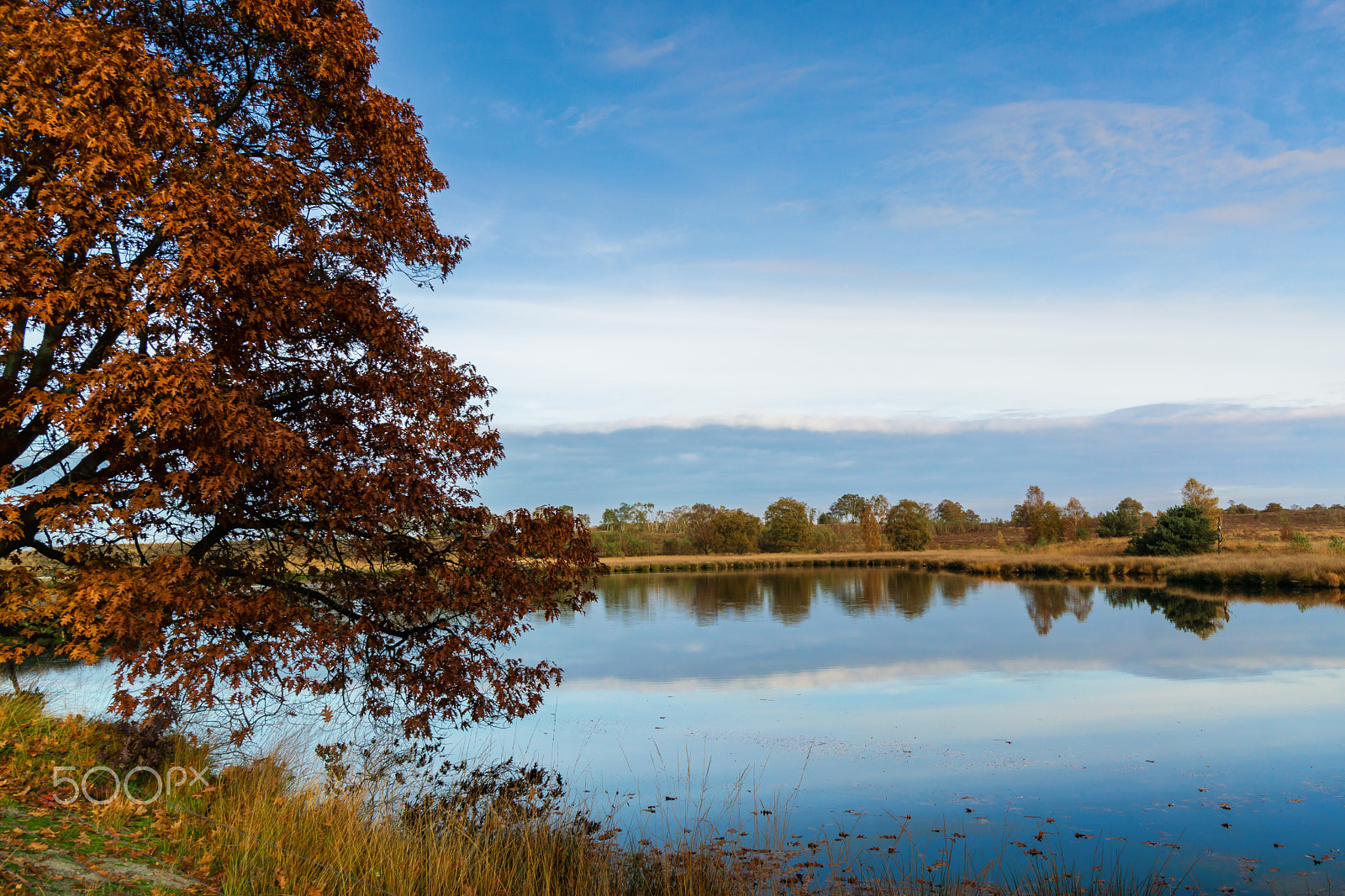 Sony a6000 + Sony E 10-18mm F4 OSS sample photo. Tree by the lake photography