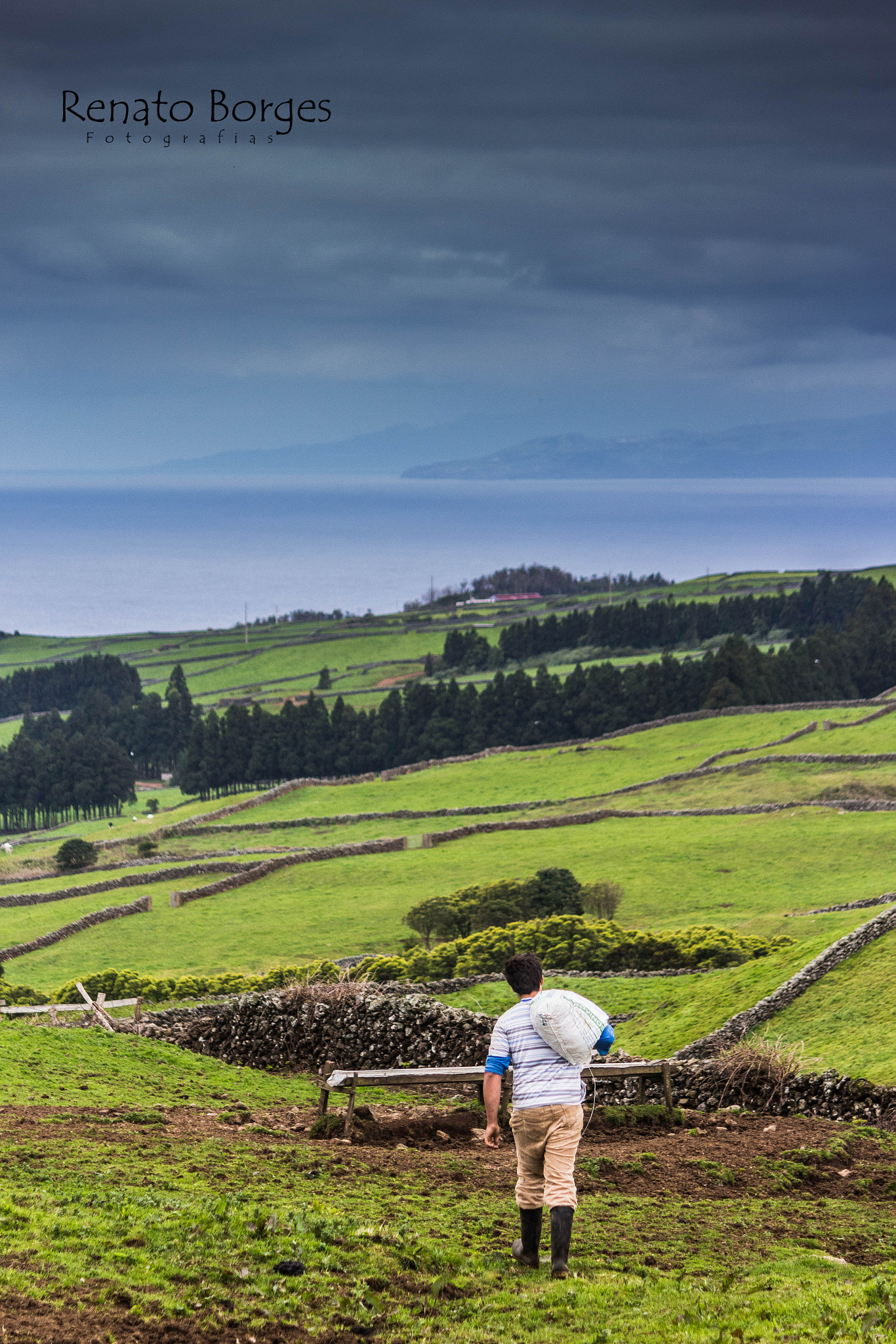 Canon EF-S 55-250mm F4-5.6 IS sample photo. Açores. photography