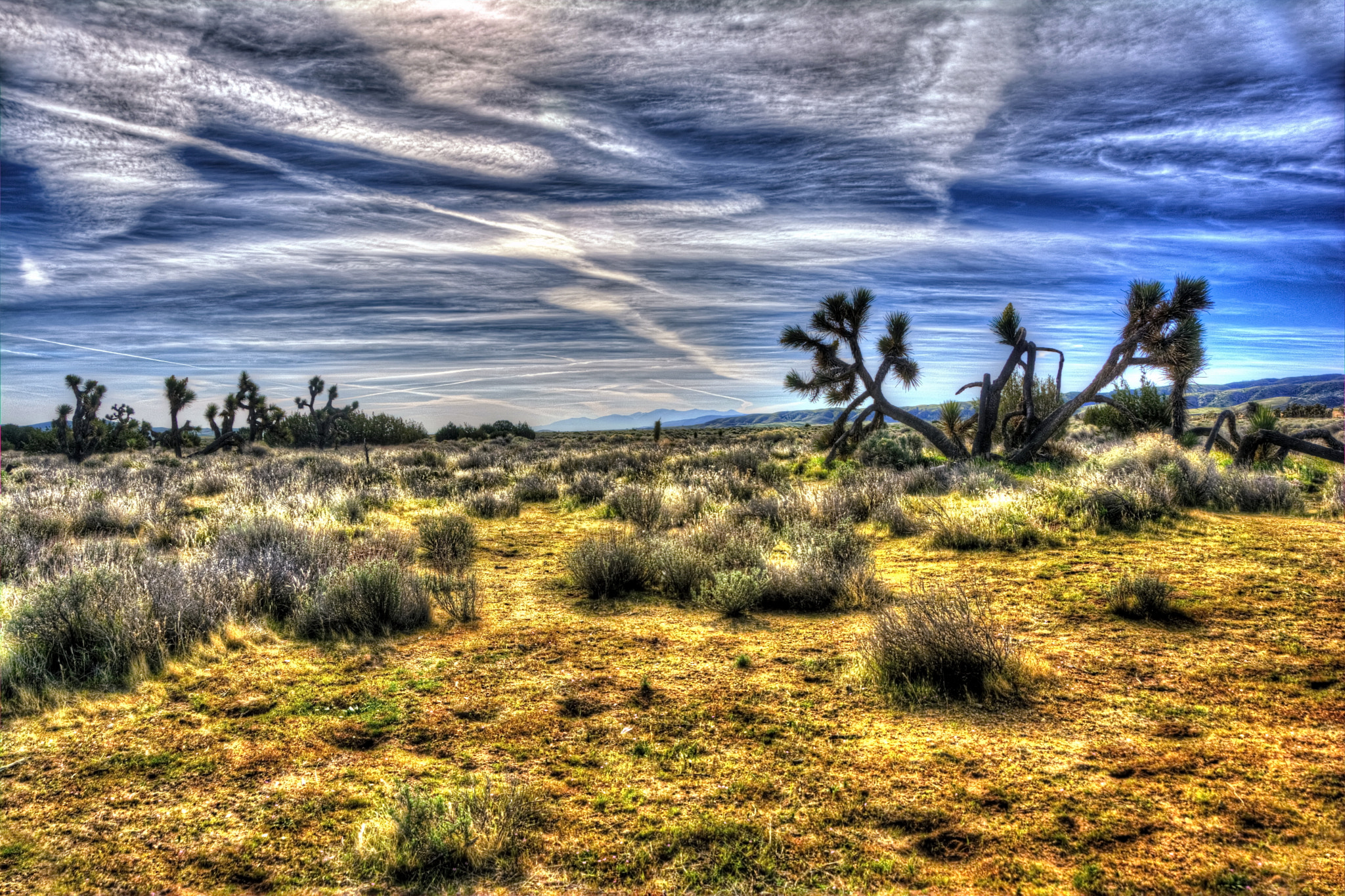 Nikon D7100 sample photo. California desert photography