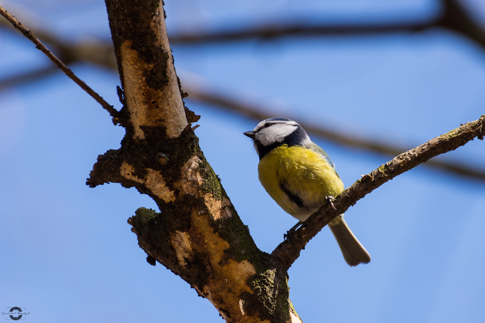 Nikon D7200 sample photo