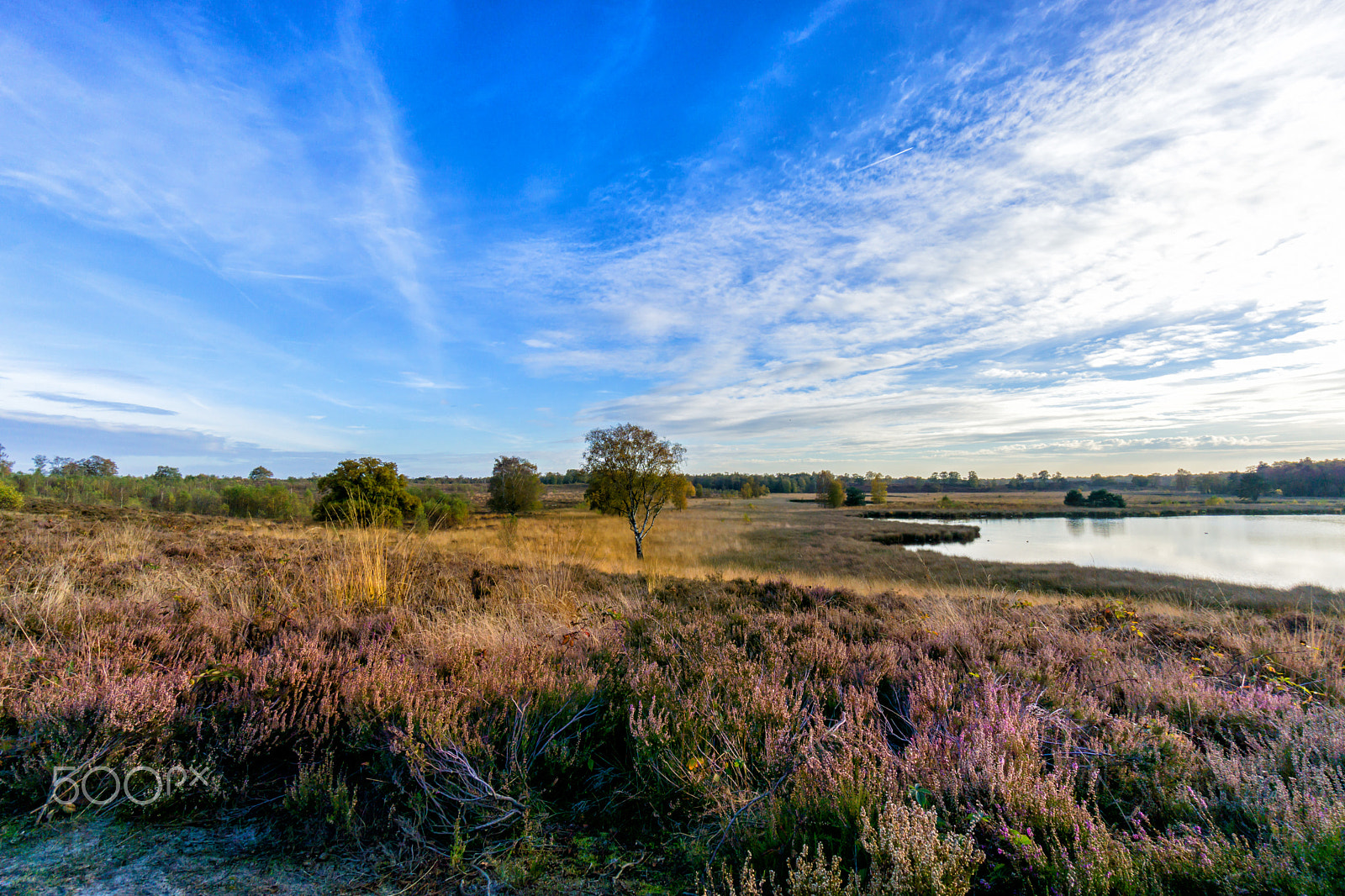 Sony a6000 + Sony E 10-18mm F4 OSS sample photo. Moorland photography