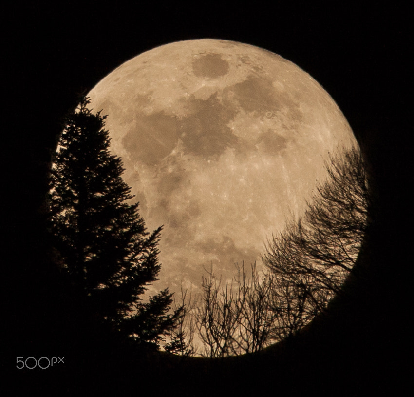 150-600mm F5-6.3 DG OS HSM | Contemporary 015 sample photo. Fullmoon again :) photography