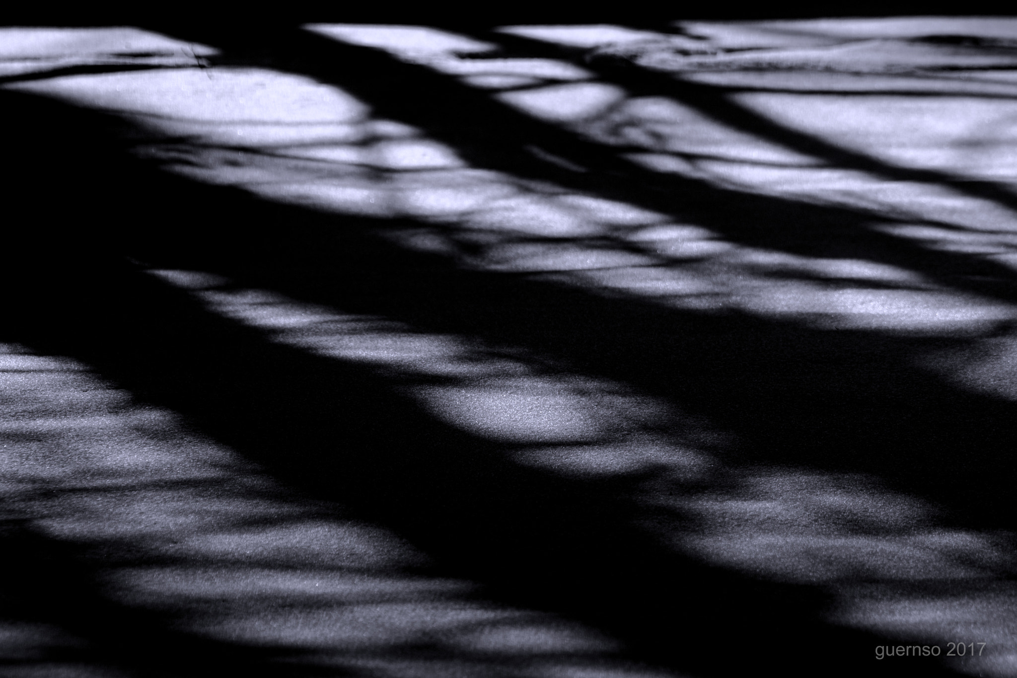 Nikon D500 sample photo. Shadows photography